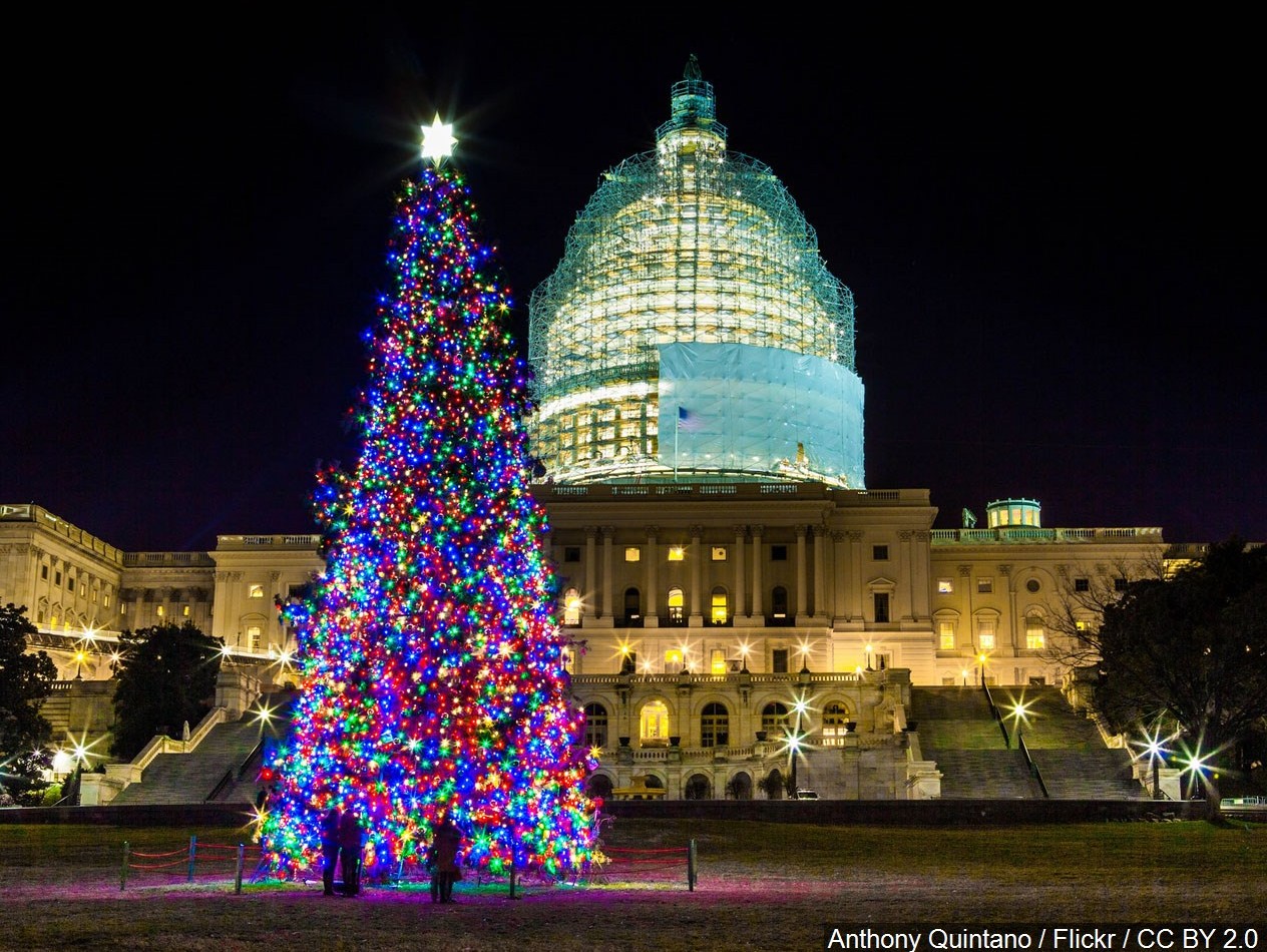 Capitol Christmas tree, USA 10 Most Expensive Christmas Trees