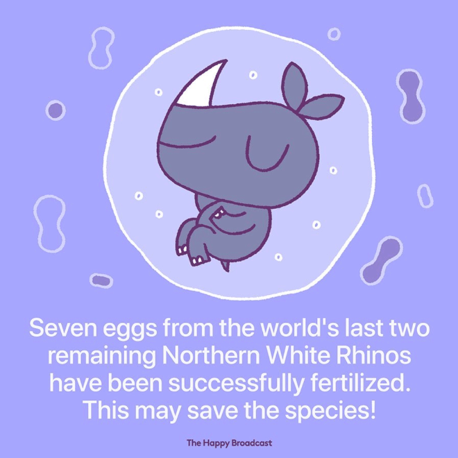 Tired of All The Bad News, Artist Illustrates The Best News of 2019