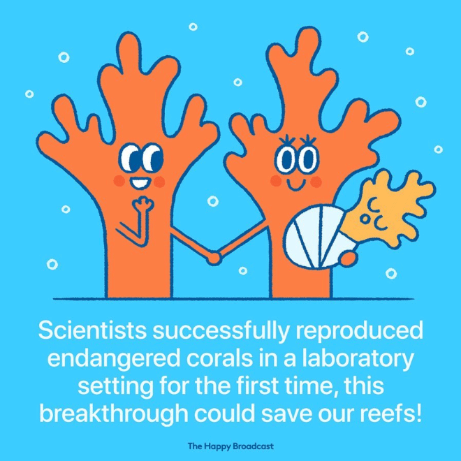 Tired of All The Bad News, Artist Illustrates The Best News of 2019