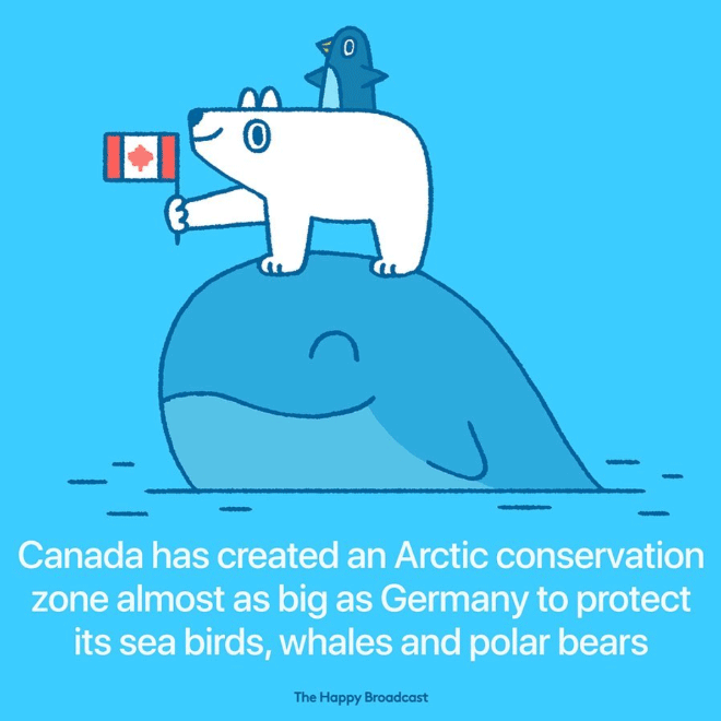 Tired of All The Bad News, Artist Illustrates The Best News of 2019