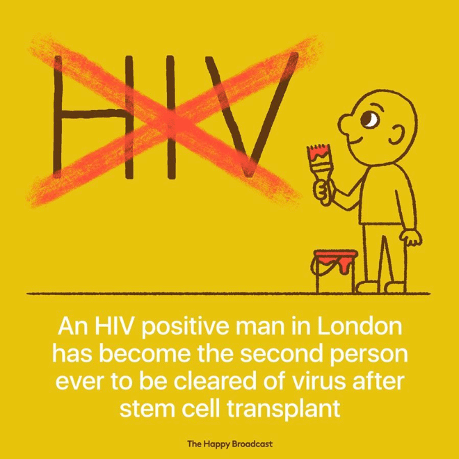 Tired of All The Bad News, Artist Illustrates The Best News of 2019