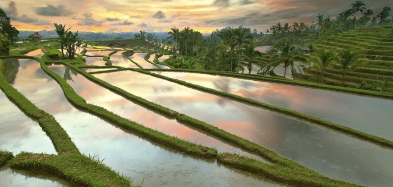 Bali 5 Reasons To Be Disappointed And 5 Reasons To Love The “Paradise Island”