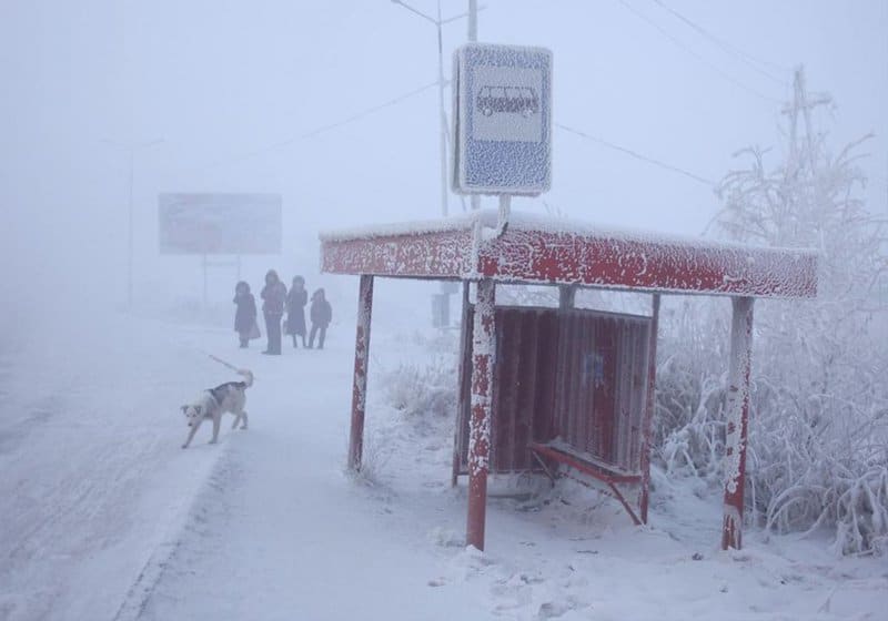 Surprising Cold Front: how they live in Oymyakon - one of the coldest inhabited places on Earth... 14 Surprising Cold Front: how they live in Oymyakon – one of the coldest inhabited places on Earth…