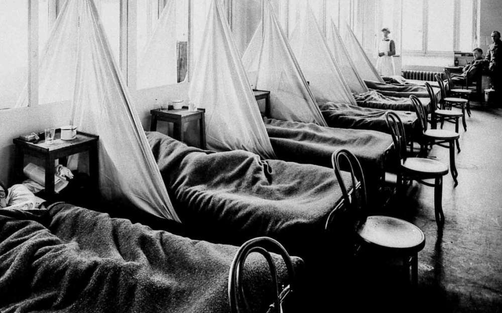 Diseases That Claimed Millions Of Lives