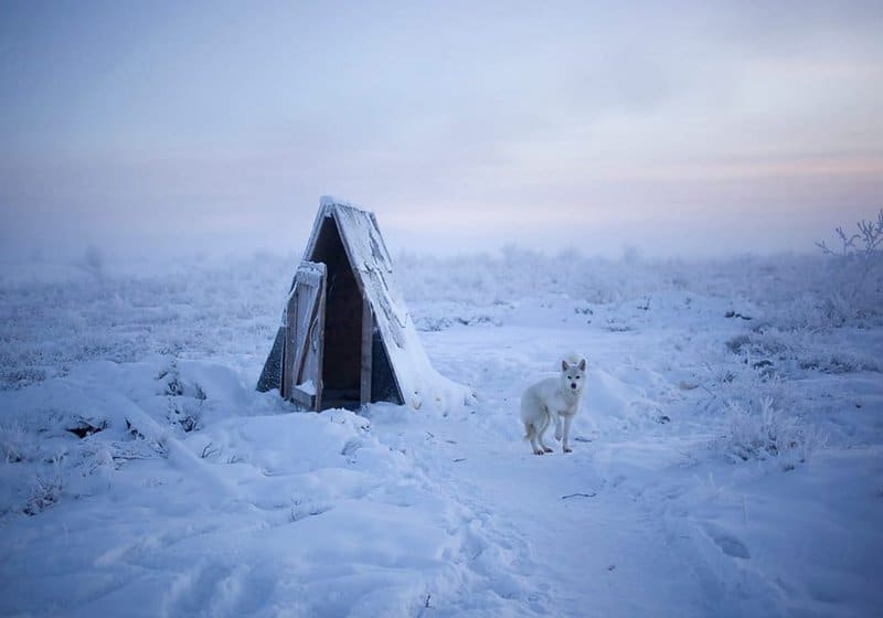 Surprising Cold Front: how they live in Oymyakon - one of the coldest inhabited places on Earth... 18 Surprising Cold Front: how they live in Oymyakon – one of the coldest inhabited places on Earth…