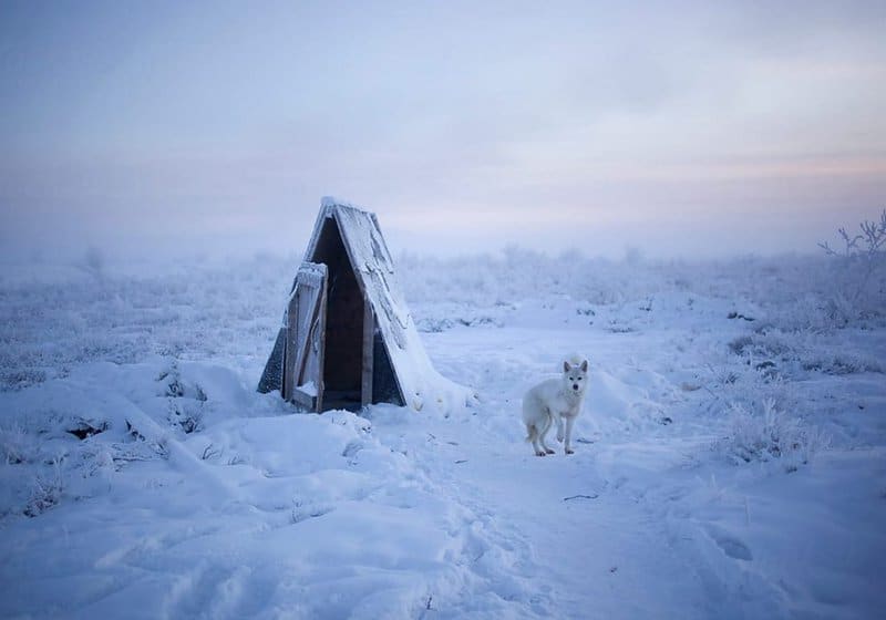 Surprising Cold Front How They Live In Oymyakon One Of The Coldest