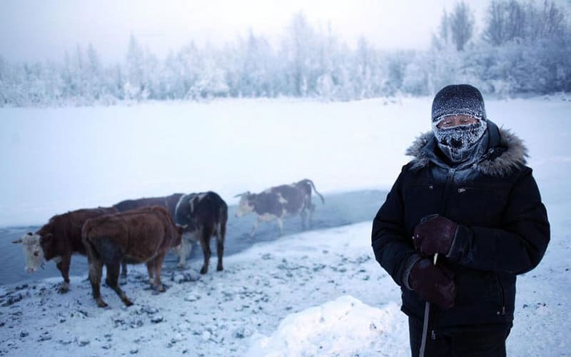Surprising Cold Front: how they live in Oymyakon - one of the coldest inhabited places on Earth... 20 Surprising Cold Front: how they live in Oymyakon – one of the coldest inhabited places on Earth…
