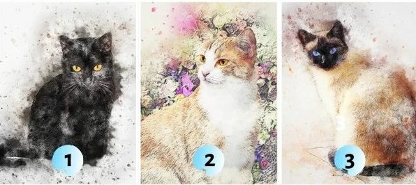 Visual Test With Cats Tells You What Secrets Your Subconscious Keeps