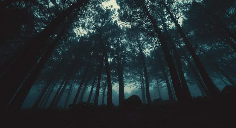 Scary Interesting: The 3 Most Mystic Places in the World