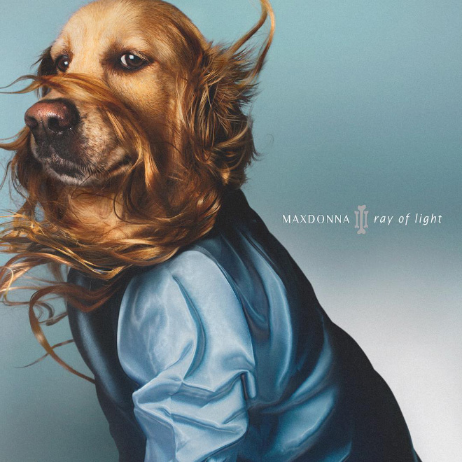 Maxdonna! Don&#8217;t Miss Madonna’s Inspired Iconic Photos With Photographer&#8217;s Dog