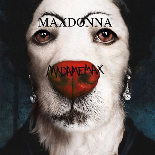 Maxdonna! Don&#8217;t Miss Madonna’s Inspired Iconic Photos With Photographer&#8217;s Dog
