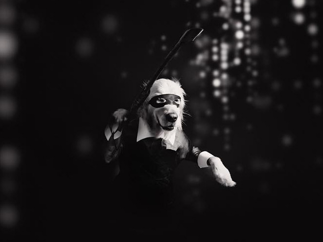 Maxdonna! Don&#8217;t Miss Madonna’s Inspired Iconic Photos With Photographer&#8217;s Dog