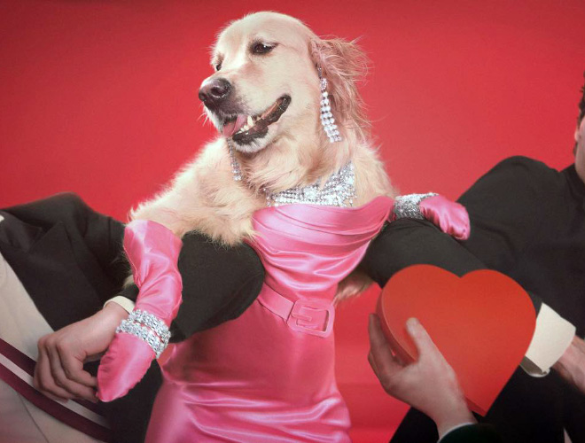 Maxdonna! Don&#8217;t Miss Madonna’s Inspired Iconic Photos With Photographer&#8217;s Dog