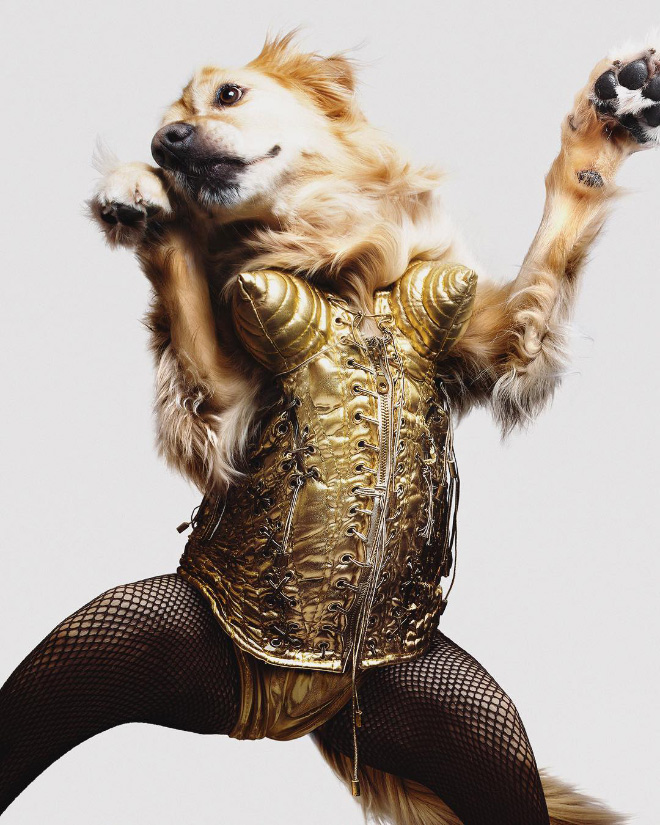 Maxdonna! Don&#8217;t Miss Madonna’s Inspired Iconic Photos With Photographer&#8217;s Dog
