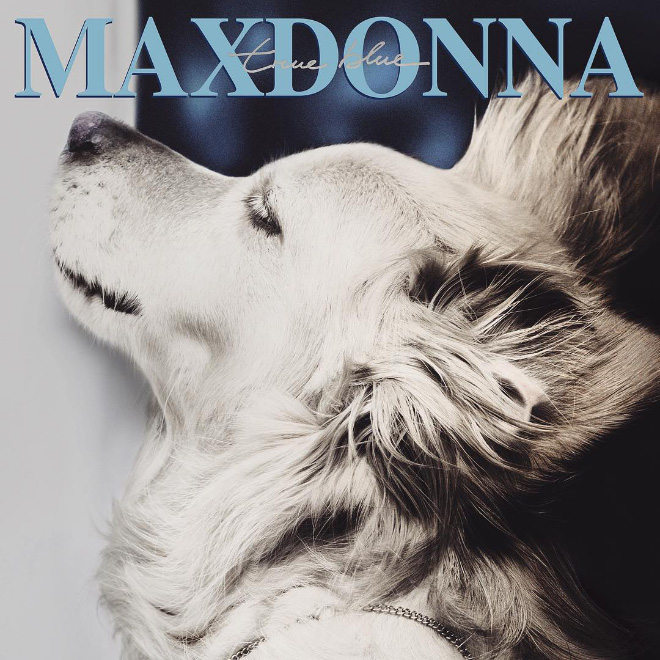 Maxdonna! Don&#8217;t Miss Madonna’s Inspired Iconic Photos With Photographer&#8217;s Dog