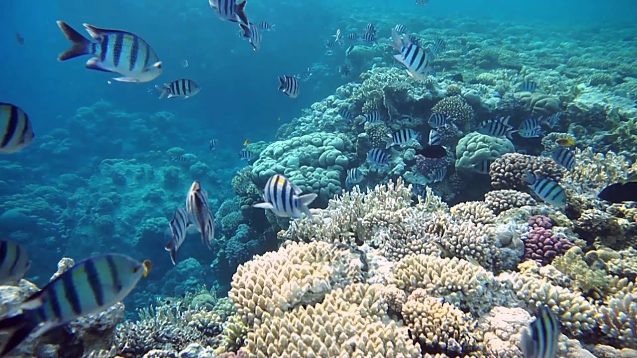 Top 7 Virtual Tours To Museums, Parks And Other Attractions All Over The World