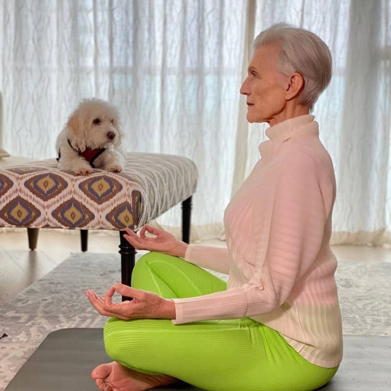 Impressive Maye Musk’s home turned into a fashion catwalk: 71-year-old model backs colleagues in quarantine