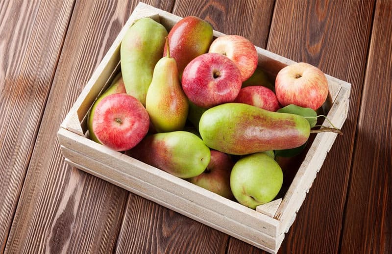 EAT AND LOOSE WEIGHT: 10 SIMPLE FOODS THAT SPEED METABOLISM 5 EAT AND LOOSE WEIGHT: 10 SIMPLE FOODS THAT SPEED METABOLISM