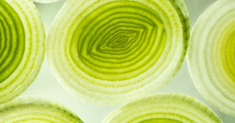 TOP 3 Leek recipe for delicious dishes