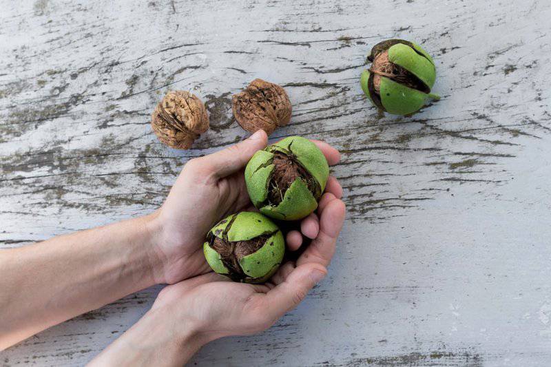 4 Undeniable reasons to enjoy walnuts as often as possible