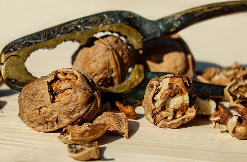 4 Undeniable reasons to enjoy walnuts as often as possible 1 4 Undeniable reasons to enjoy walnuts as often as possible