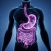 Why Gut Health Affects Everything from Mood to Weight